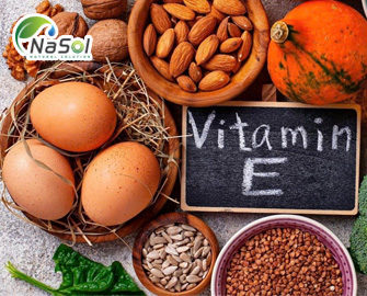 Phân loại các dòng nguyên liệu vitamin E