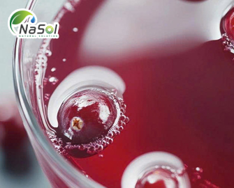 Polypeptide từ máu hươu giúp giảm mệt mỏi 