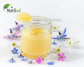 Queen bee acid: là gì và tác dụng với sức khỏe