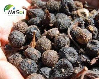 Sugandha kokila là gì? Những lợi ích với sức khỏe