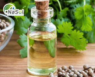 Coriader oil (tinh dầu rau mùi): thành phần và công dụng