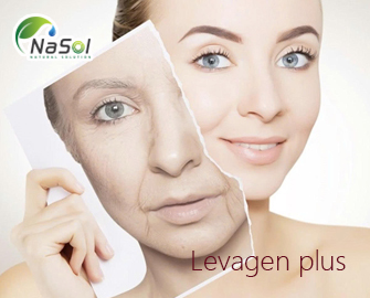 Levagen plus: từ chống lão hóa da đến điều trị viêm da cơ địa