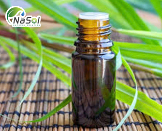 Lợi ích của tinh dầu Palmarosa