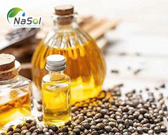 Tinh dầu sẻn gai (Tomar seed oil): tổng quan