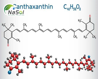 Canthaxanthin là gì? Lợi ích sức khỏe và các ứng dụng