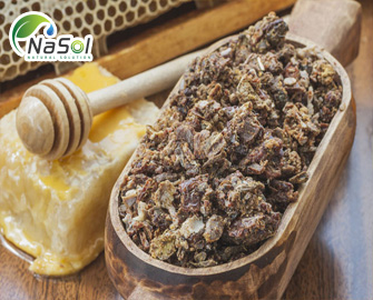 Ứng dụng của keo ong y học và đời sống con người 