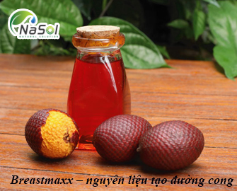 Breastmaxx