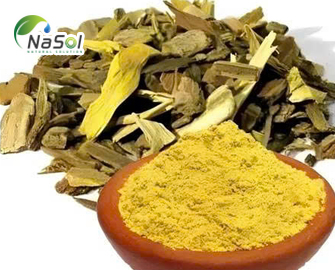 Chiết xuất hoàng liên Ấn Độ