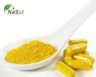 Chiết xuất hoàng liên gai