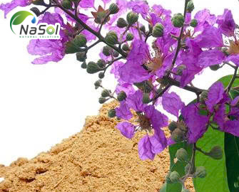 Chiết xuất lá bằng lăng tím