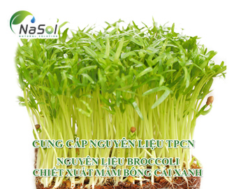 Chiết xuất mầm Bông cải xanh
