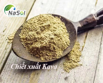 Chiết xuất Kava