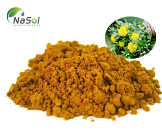 Chiết xuất rễ vàng 