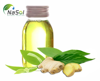 Tinh Dầu Gừng