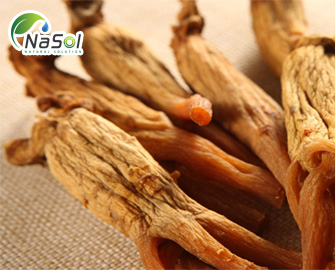 Korean Red Ginseng Extract