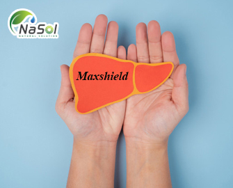 Maxshield