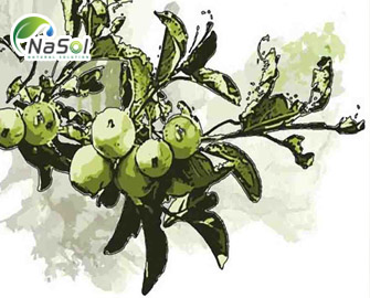 Applephenon®