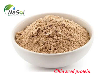Chia seed Protein