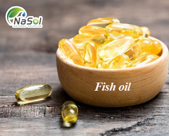 Fish oil (Dầu cá)