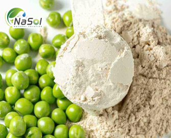 Pea Protein
