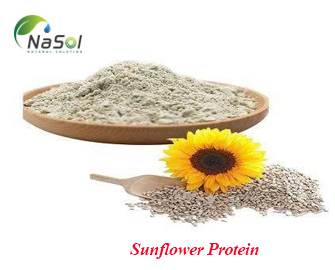 Sunflower Protein