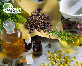 Nguyên liệu tinh dầu là gì? phân loại và ứng dụng trong sản xuất