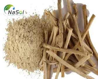 Chiết xuất Safed musli Chiết xuất Safed musli
