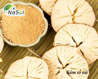 Sâm tố nữ (dạng bột)