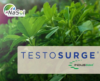 Testosurge