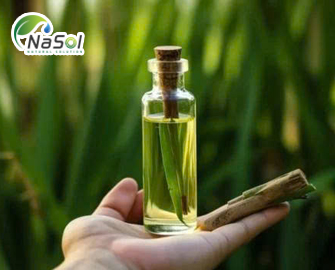 Tinh dầu Calamus 