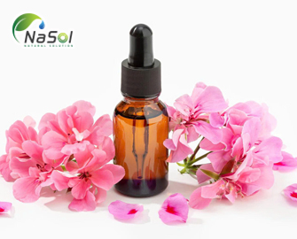 Tinh dầu phong lữ