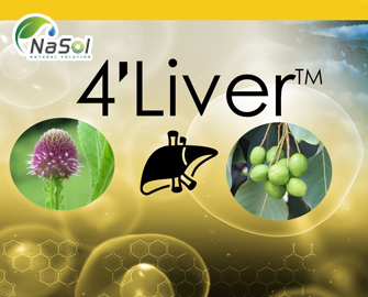 4’Liver™ (hỗn hợp chiết xuất Kha tử và Cỏ chân vịt Ấn)
