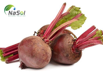 Beetroot (Củ dền đỏ): Thành phần và những lợi ích sức khỏe