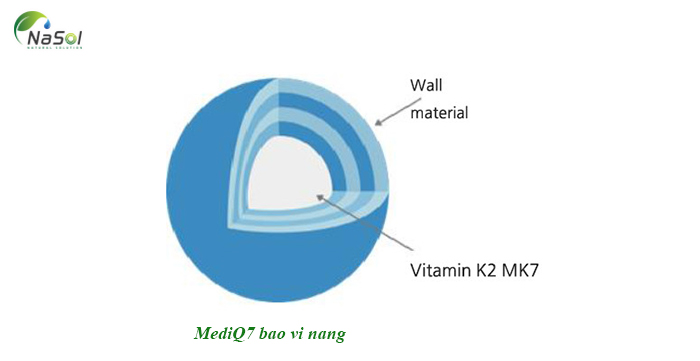 Cấu trúc bao vi nang của MediQ7