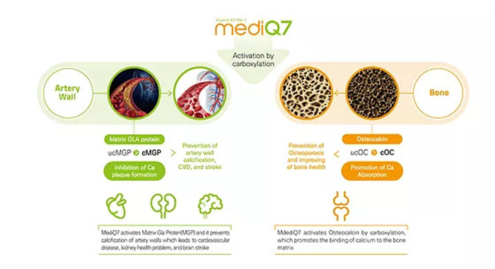 Tác dụng của MediQ7