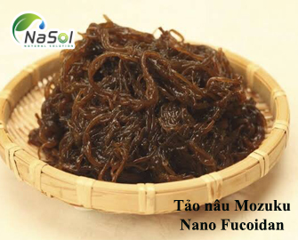 Nano fucoidan (Nguyên liệu từ Nhật Bản)