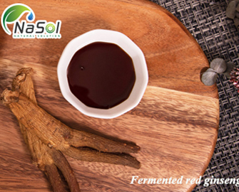 Fermented Ginseng Extract – Chiết xuất Nhân Sâm lên men 
