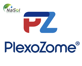 PlexoZome® (Công nghệ Lyposome chính hãng)