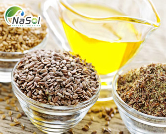 Flax seed oil – 10 công dụng của dầu hạt lanh với cơ thể