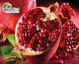 Pomegranate Peel Extract (Chiết xuất lựu) 