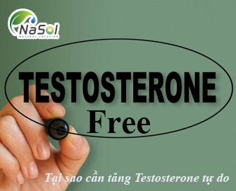 Tại sao cần tăng Testosterone tự do