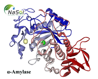 Chất ức chế α-Amylase có thực sự giúp giảm cân?