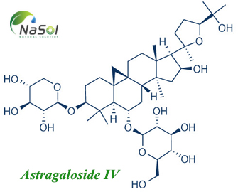 Astragaloside IV: Cấu trúc, nguồn gốc và tác dụng