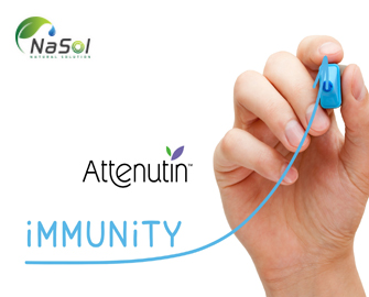 Attenutin giúp tăng cường miễn dịch sau tiêm phòng cúm: Một nghiên cứu lâm sàng