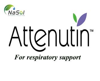 Attenutin™  (Hỗ trợ sức khỏe hô hấp)