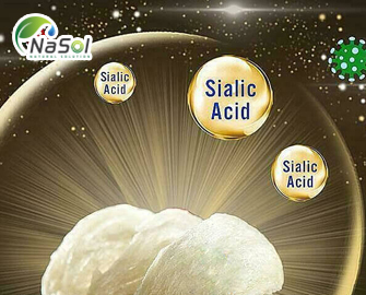 Axit sialic là gì? Những lợi ích cho não bộ