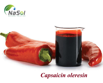 Capsaicin oleresin: Công dụng, ứng dụng và tác dụng phụ