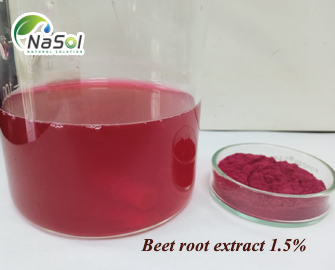 Chiết xuất Củ dền đỏ (Beet root extract 1,5%)