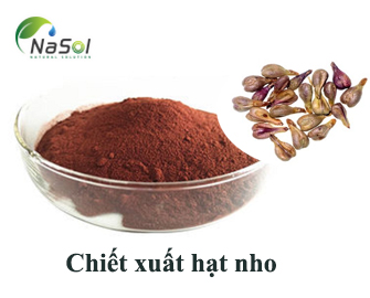 Chiết xuất hạt nho (xuất xứ Pháp)