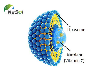 Liposomal Vitamin C